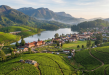 Nuwara Eliya: The Emerald Soul of the Highlands